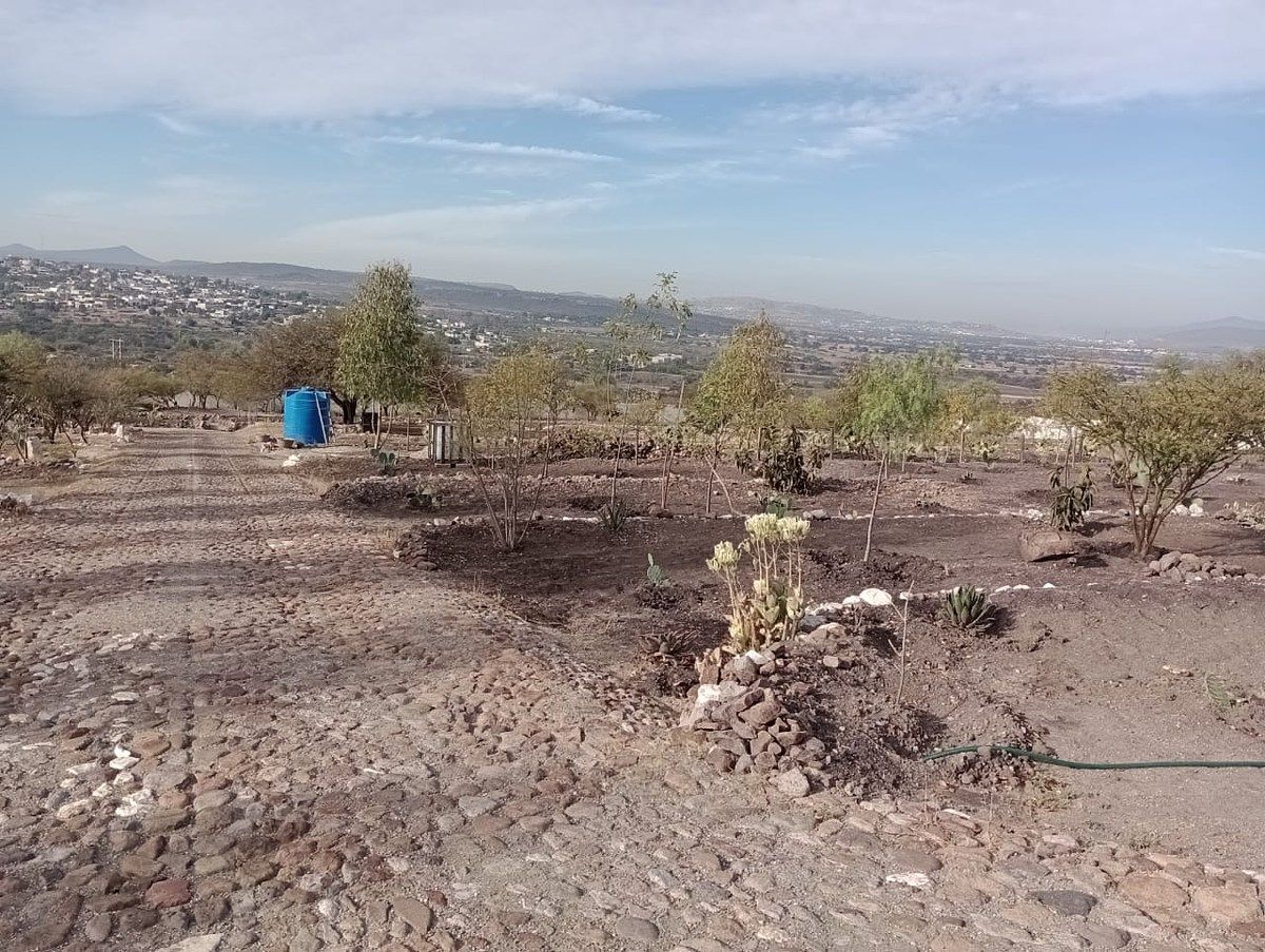 Terreno en Vista Hermosa, Cadereyta de Montes, foto 7 de 21