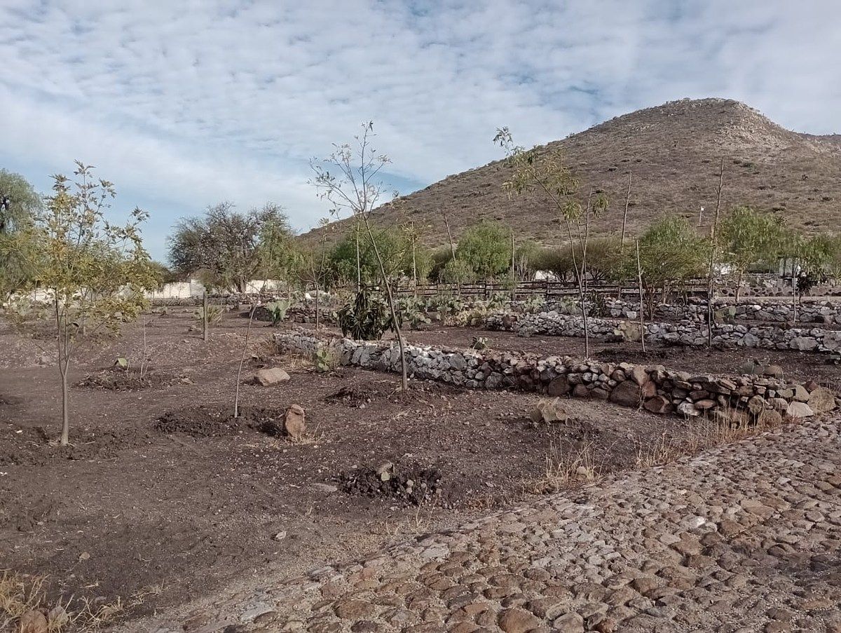 Terreno en Vista Hermosa, Cadereyta de Montes, foto 8 de 21