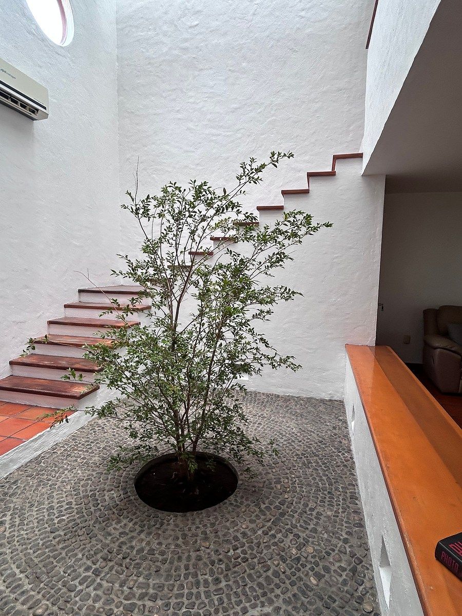 Casa en Vistas de San Agustin, Tlajomulco de Zúñiga, foto 3 de 31