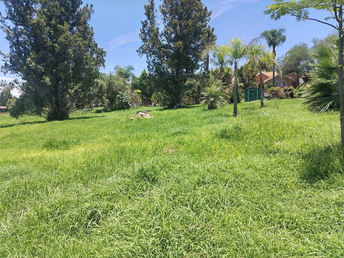 Terreno en El Salto de los Salado, Aguascalientes, foto 4 de 7