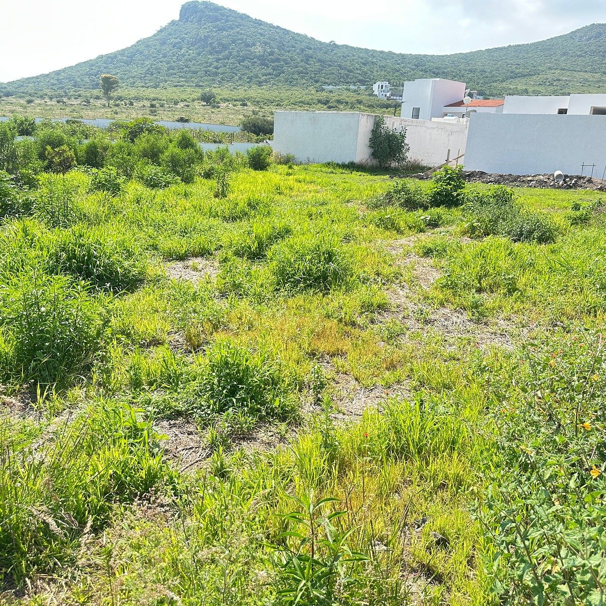 Lot in El Rosario, El Marqués, photo 18 of 20