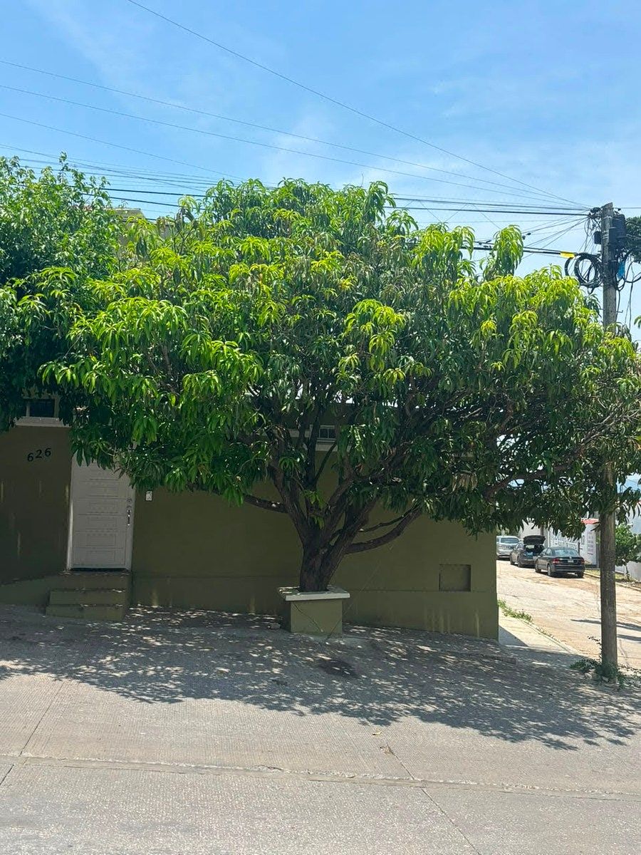 OFICINAS y/o CONSULTORIOS EN RENTA EN EXCELENTE UBICACIÓN, foto 1 de 15
