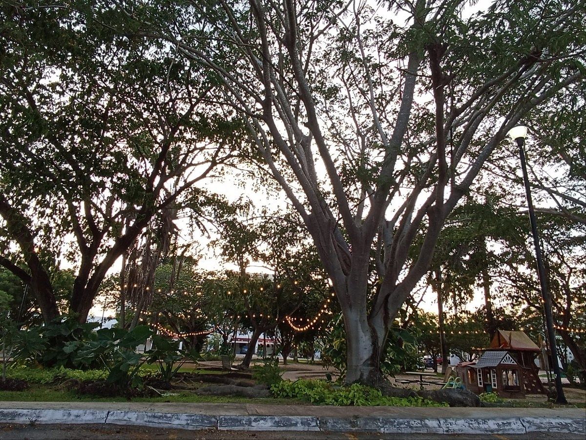 House in Gated Community in Cocoyoles, Mérida, photo 17 of 22