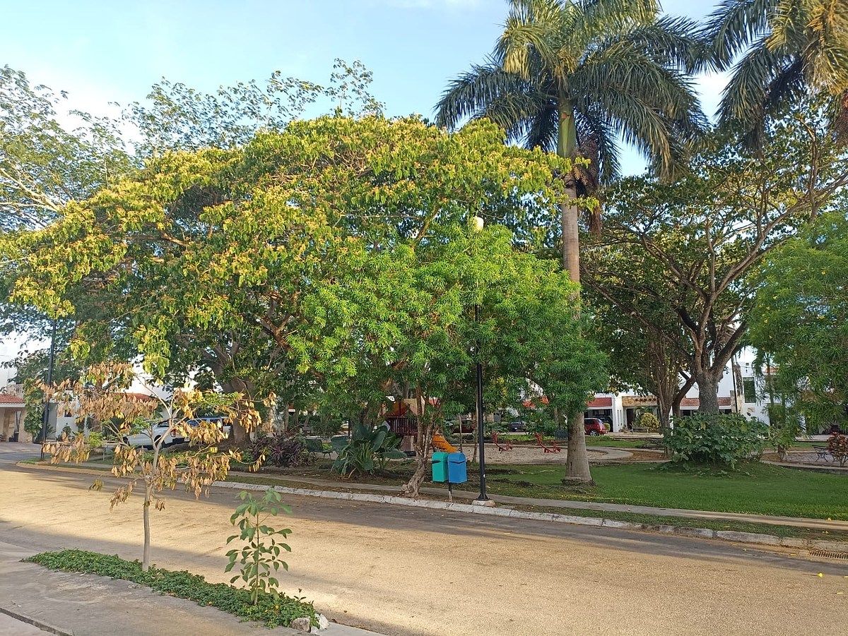 House in Gated Community in Cocoyoles, Mérida, photo 20 of 22