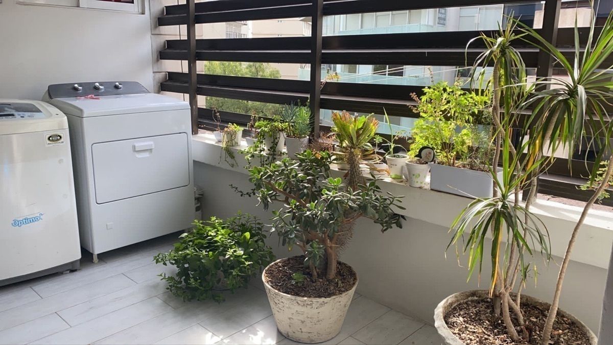 Departamento en Lomas de Chapultepec I Sección, Miguel Hidalgo, foto 18 de 25