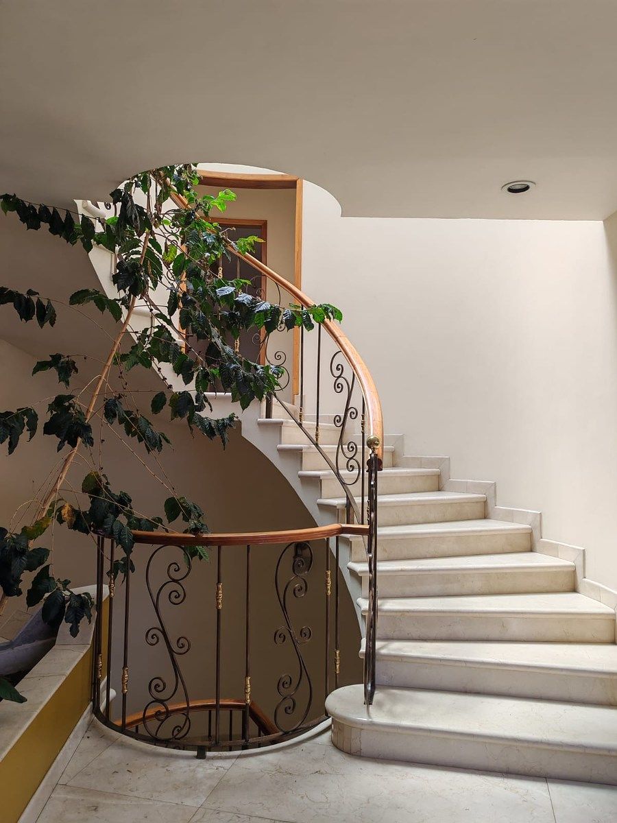 Casa em Colinas del Bosque, Tlalpan, foto 10 de 33