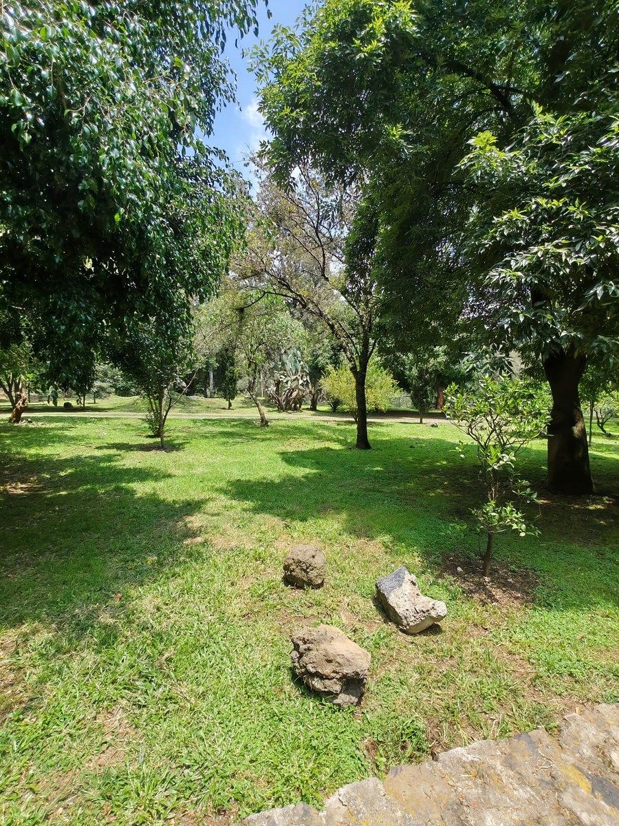 Casa em Colinas del Bosque, Tlalpan, foto 29 de 33
