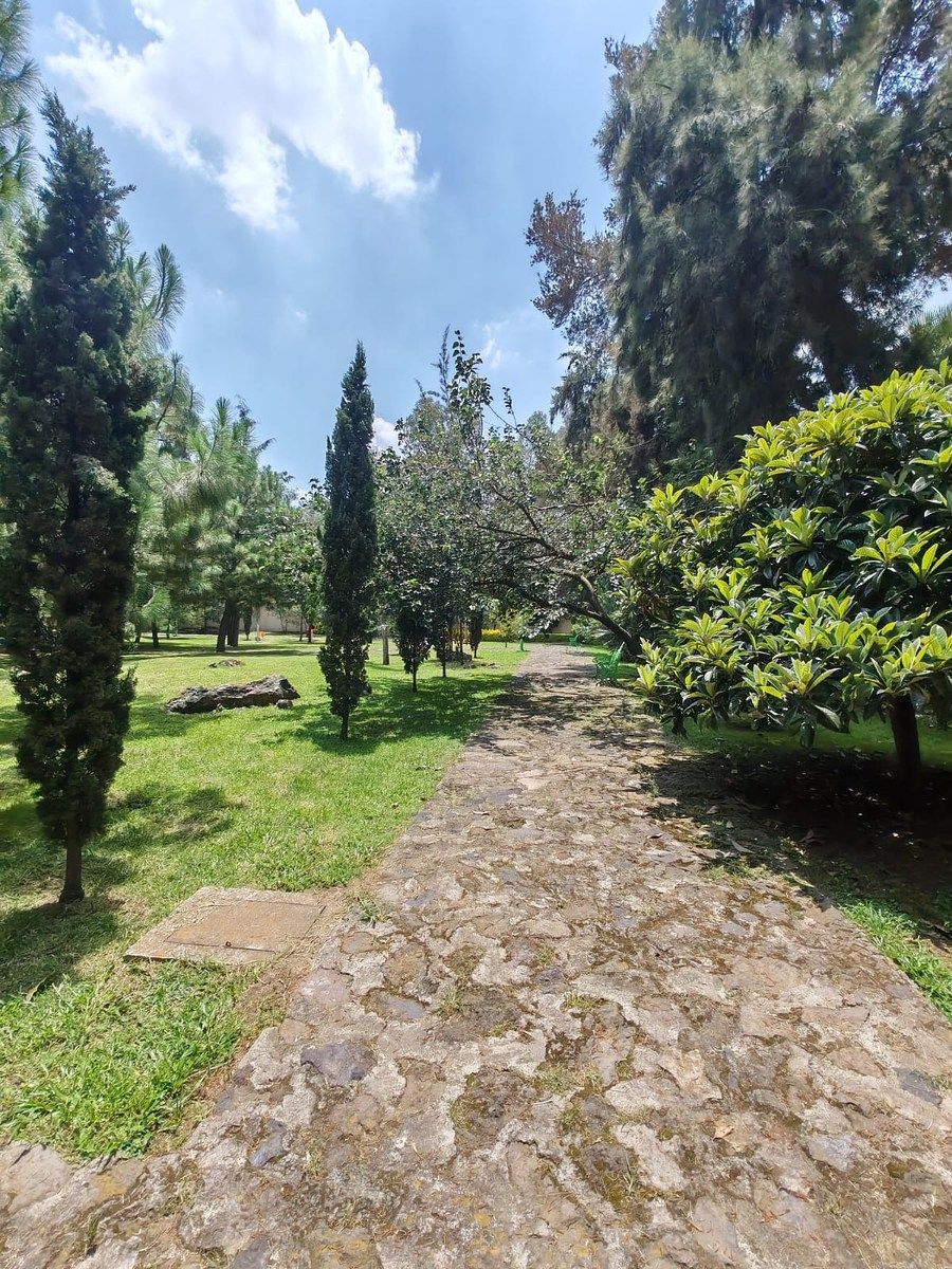 Casa em Colinas del Bosque, Tlalpan, foto 30 de 33