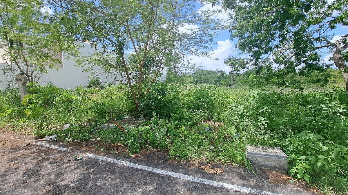 Lote em Temozón Norte, Mérida, foto 3 de 6