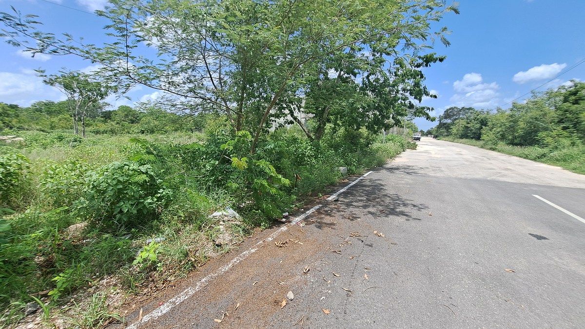 Lote em Temozón Norte, Mérida, foto 4 de 6