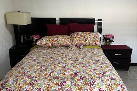 Furnished apartment for rent in Contry