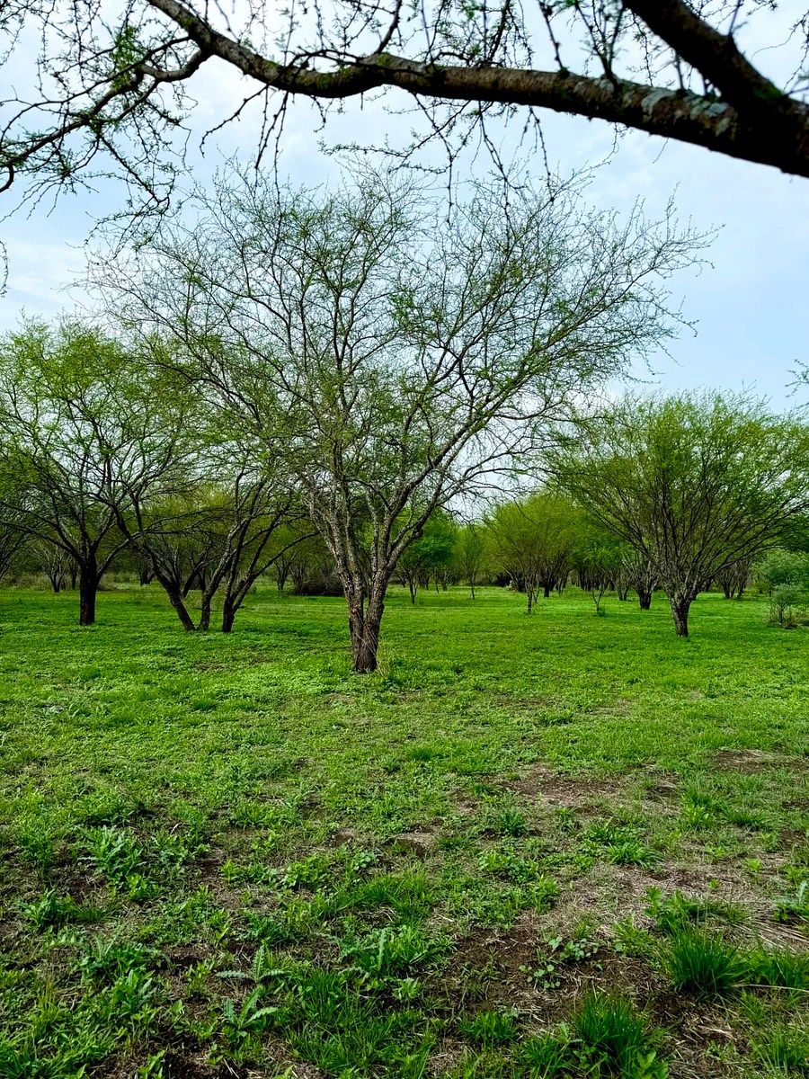 Country House in El Yerbaniz, Santiago, photo 9 of 9