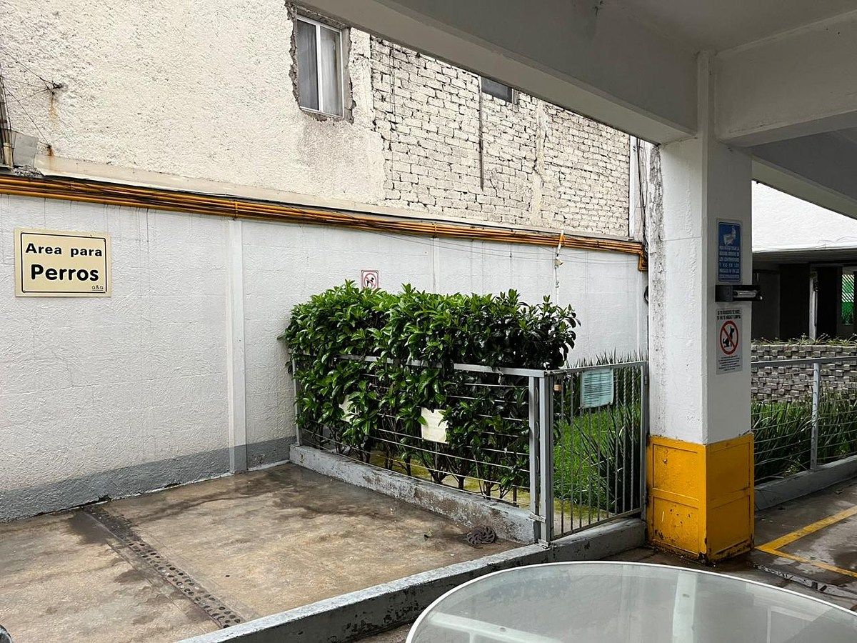 Departamento en San José de los Cedros, Cuajimalpa de Morelos, foto 17 de 22