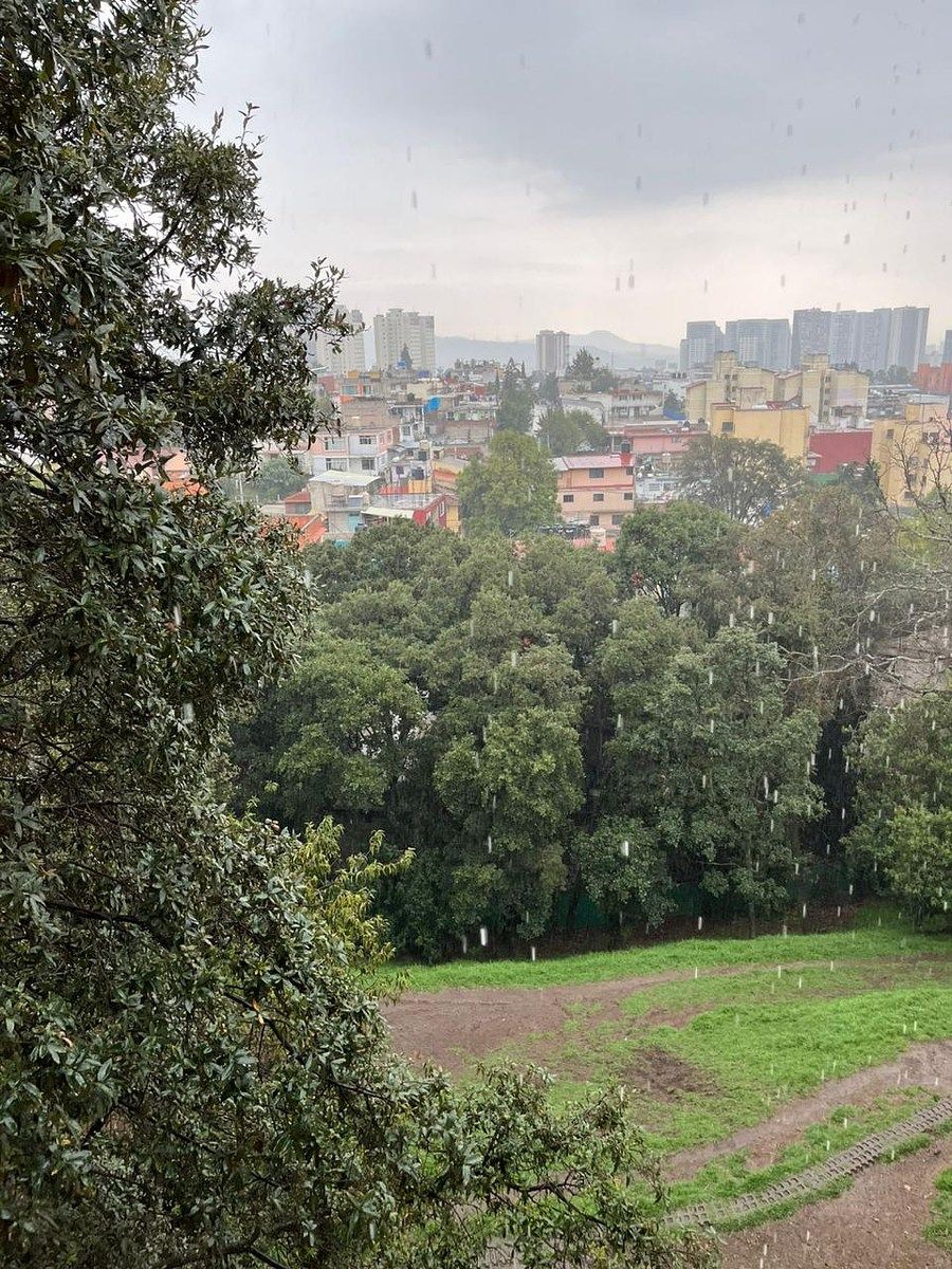 Departamento en San José de los Cedros, Cuajimalpa de Morelos, foto 18 de 22