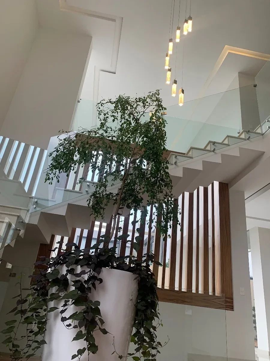 House in Gated Community in Puerta las Lomas, Zapopan, photo 12 of 14
