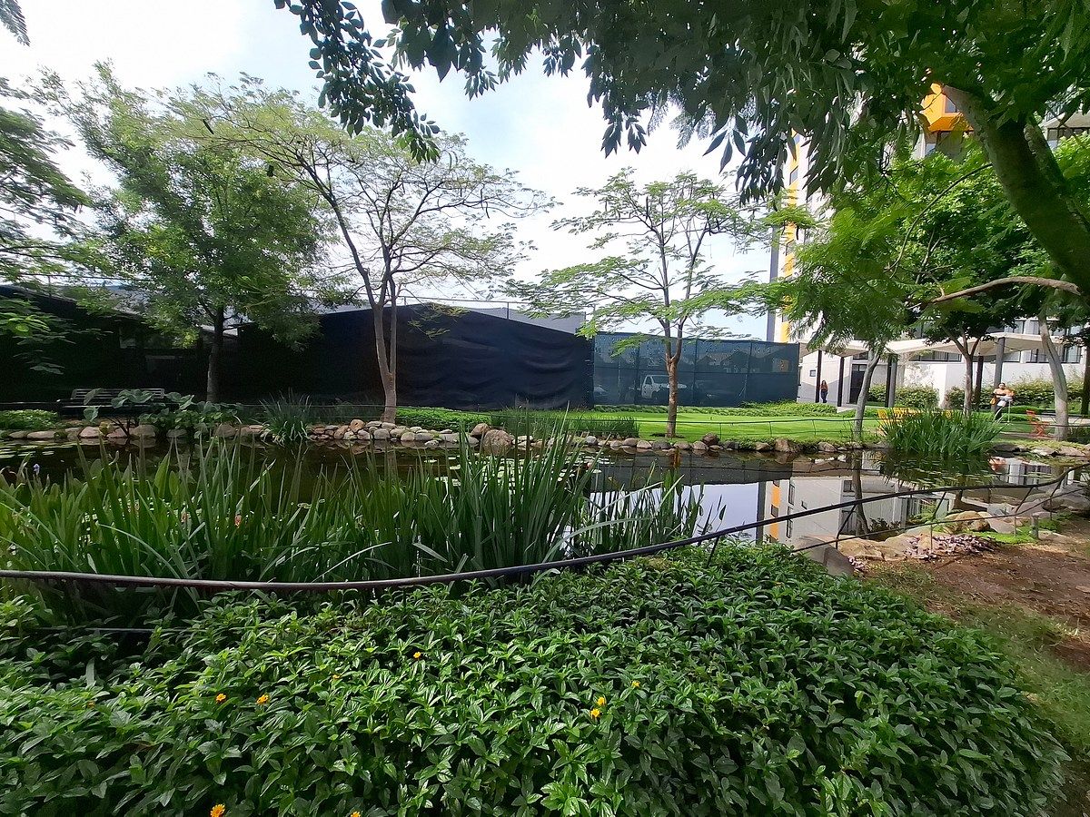 VENTA DEPARTAMENTO ZAPOPAN PARA QUIEN LE GUSTA VIVIR EN ARMONIA CON LA NATURALEZ - foto 5
