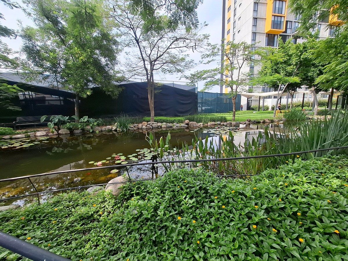VENTA DEPARTAMENTO ZAPOPAN PARA QUIEN LE GUSTA VIVIR EN ARMONIA CON LA NATURALEZ - foto 4