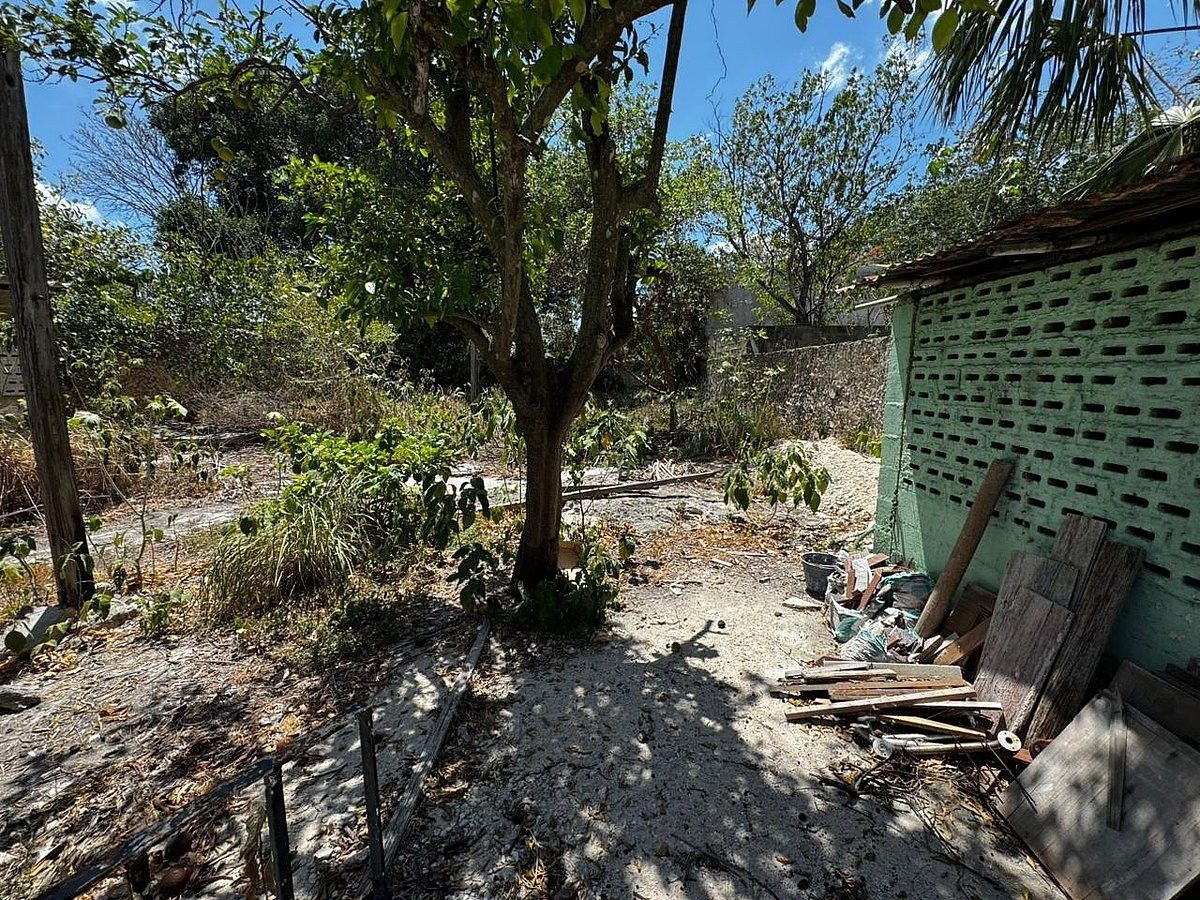 House in Mérida Centro, Mérida, photo 14 of 19
