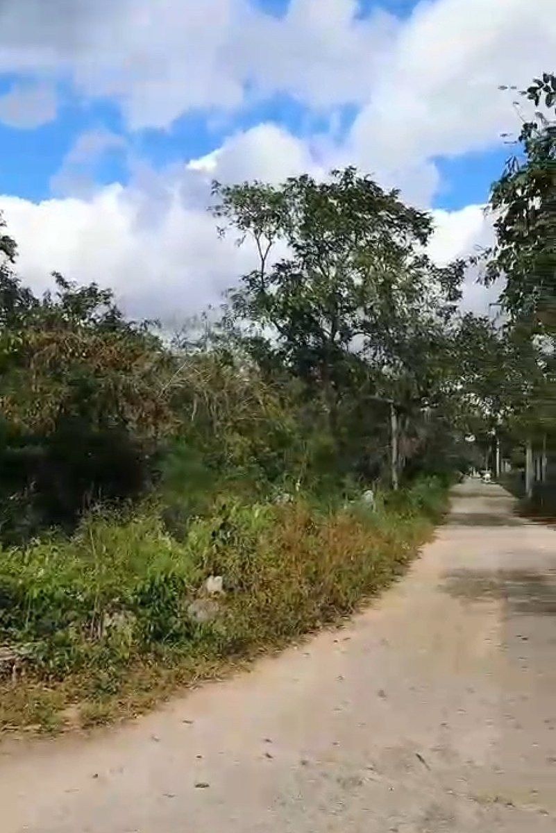 TERRENOS EN VENTA EN NOLO (TIXKOKOB) YUCATÁN - foto 4