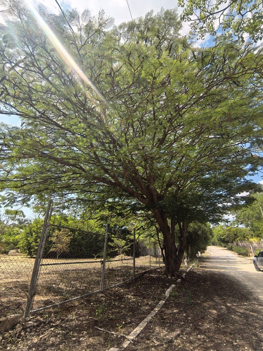 Lot in Guadalupe Country, Tuxtla Gutiérrez, photo 17 of 17
