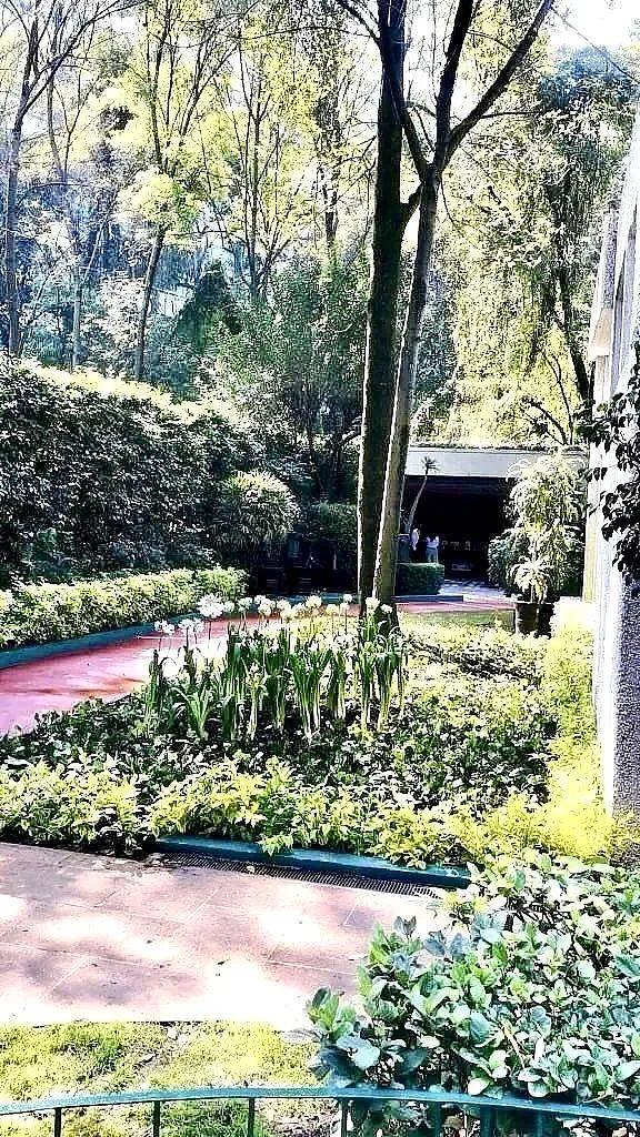 Departamento en Lomas de Chapultepec VII Sección, Miguel Hidalgo, foto 37 de 45