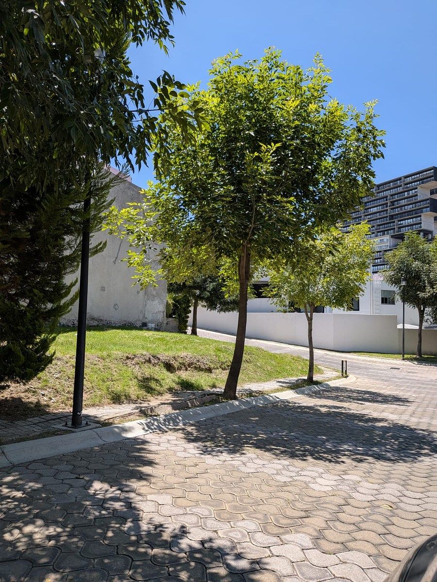 Terreno en Lomas de Angelópolis, San Andrés Cholula, foto 7 de 11