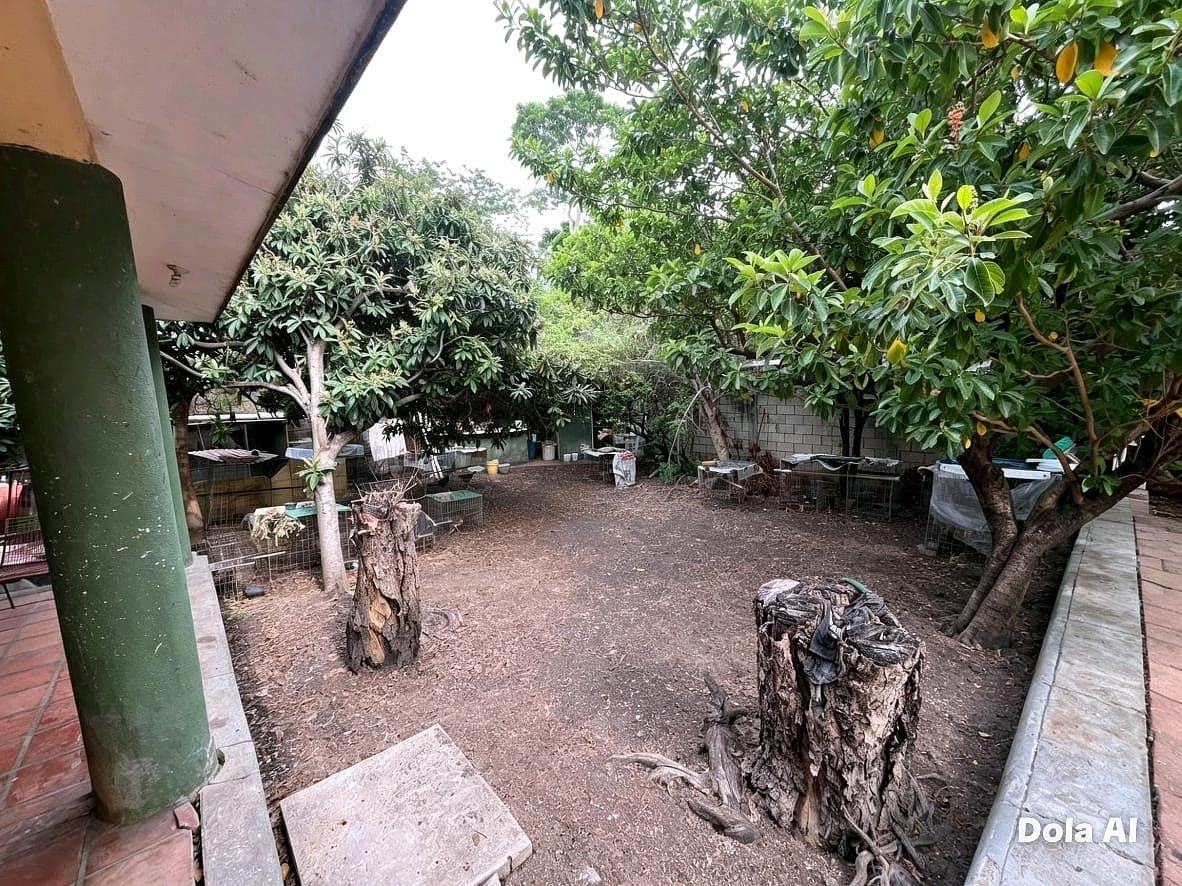 Casa em Plan de Ayala, Tuxtla Gutiérrez, foto 28 de 28