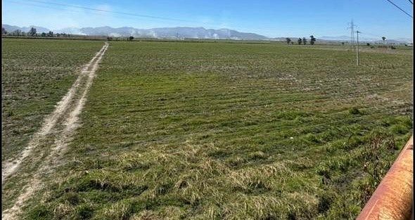 TERRENO EN VENTA EN TALA - foto 1