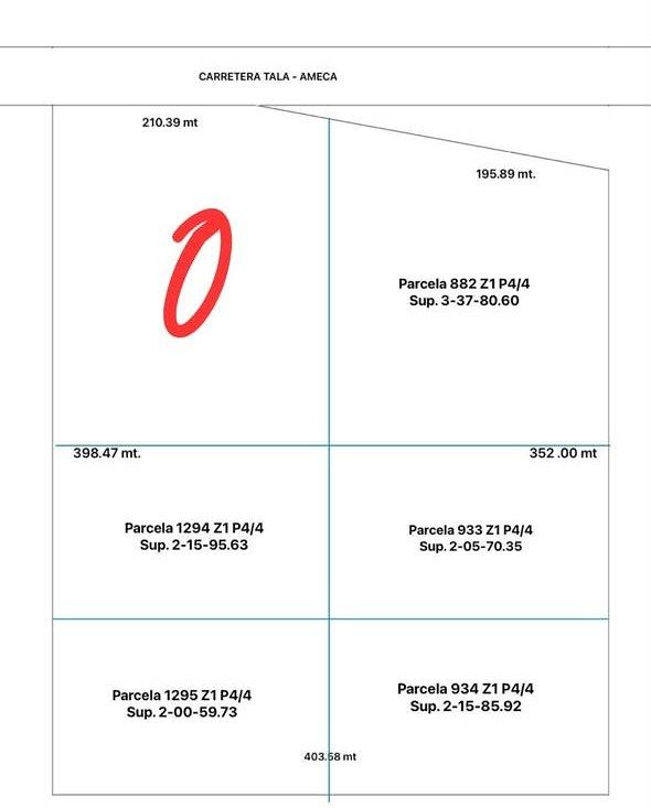 TERRENO EN VENTA EN TALA - foto 4