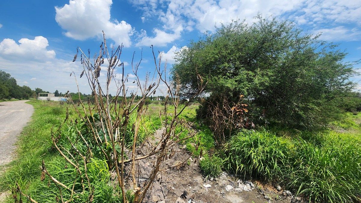 Lot in El Romeral, Corregidora, photo 7 of 8
