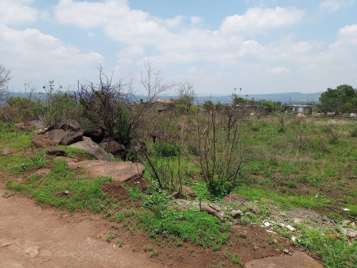 Terreno en La Loma, El Salto, foto 2 de 7