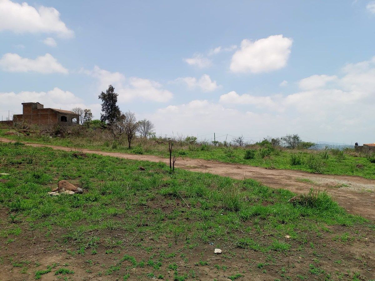 Terreno en La Loma, El Salto, foto 3 de 7