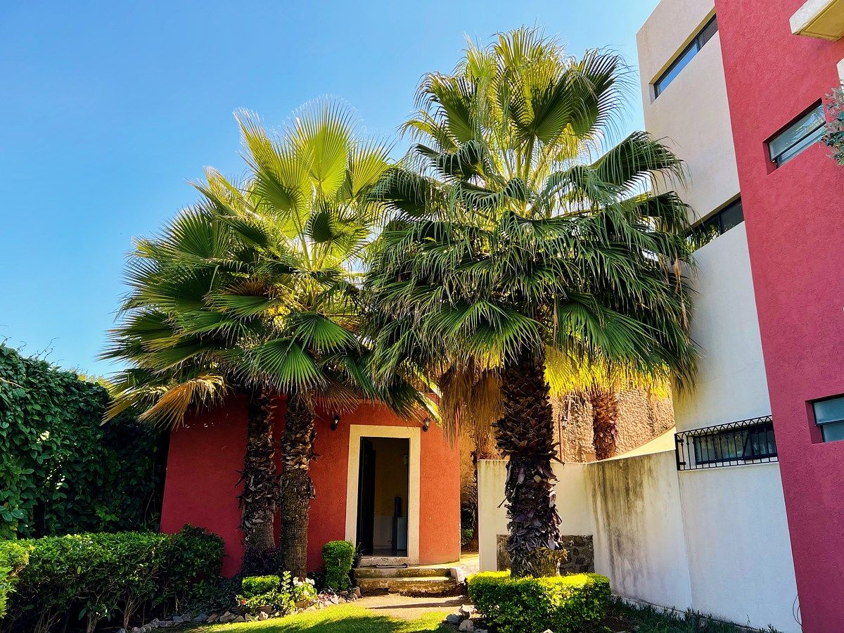 Apartment in El Batan, Zapopan, photo 13 of 17