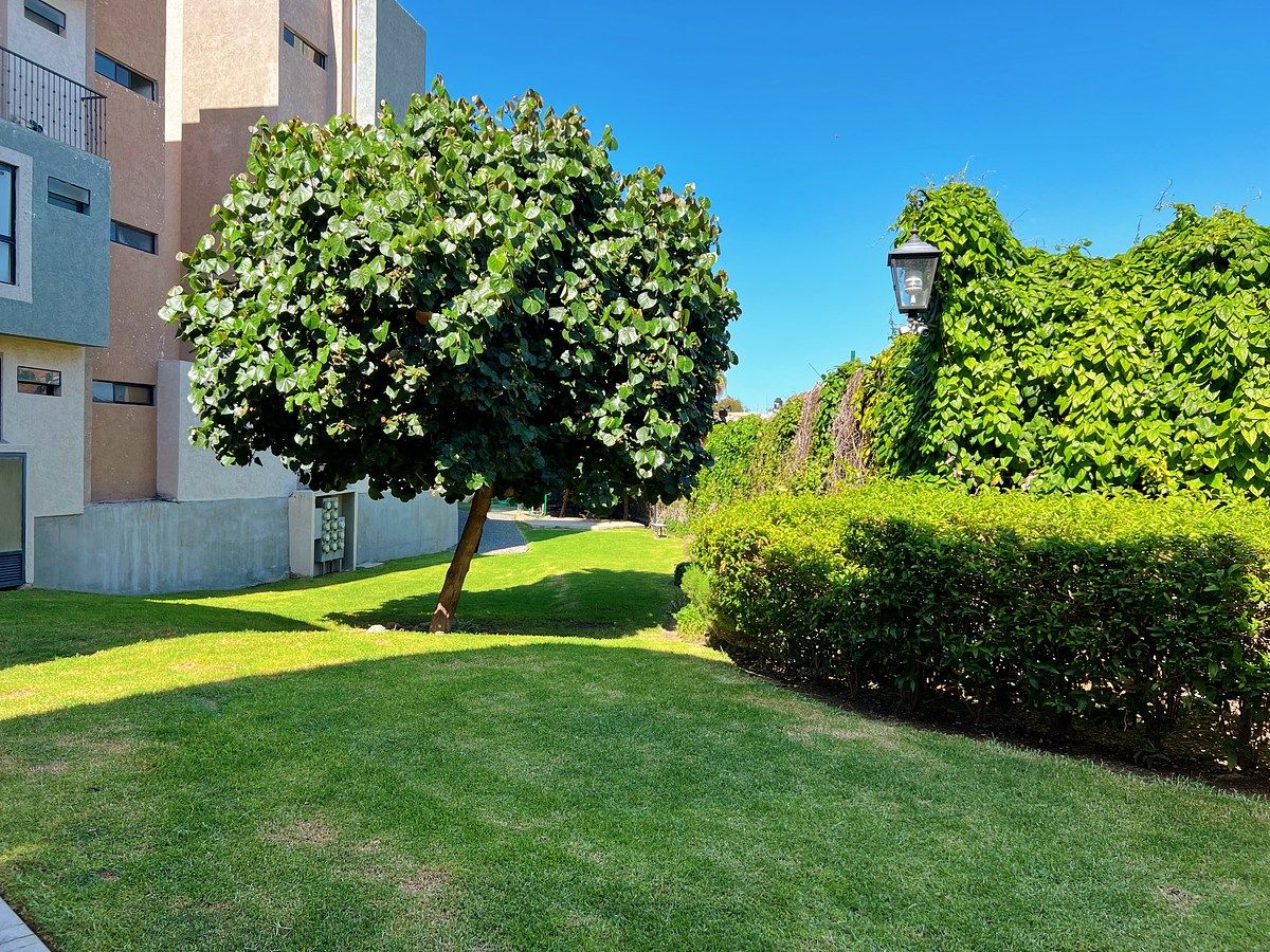 Apartment in El Batan, Zapopan, photo 15 of 17