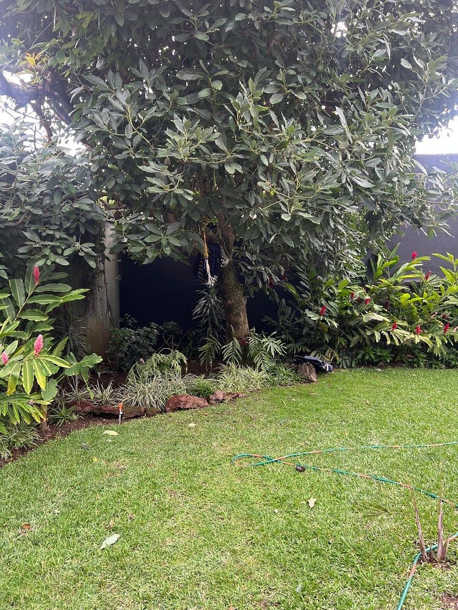 Casa en Zona 14, La Villa, Guatemala, foto 6 de 10