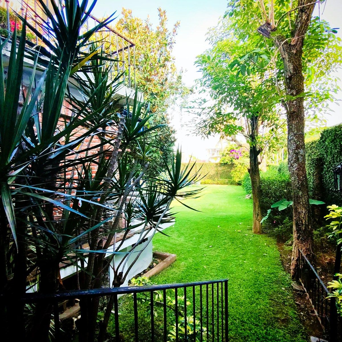 Casa em Jardines de Delicias, Cuernavaca, foto 21 de 26