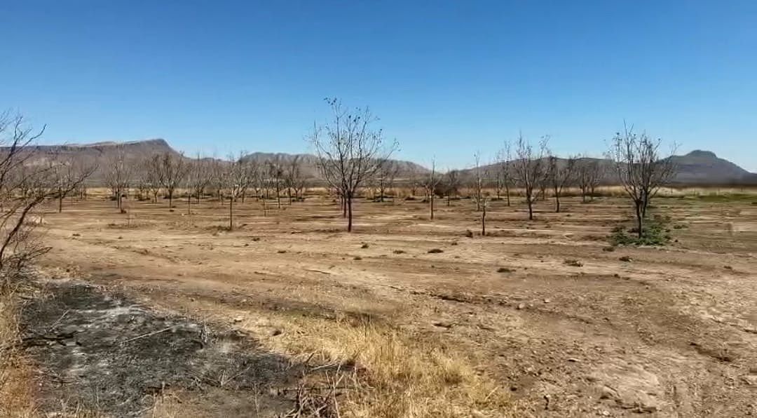 Terreno industrial en Rancho de Enmedio, Chihuahua, foto 8 de 8