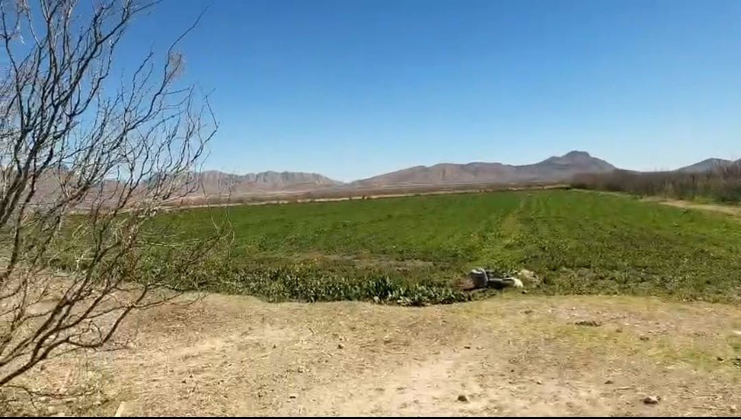 Terreno industrial en Rancho de Enmedio, Chihuahua, foto 7 de 8
