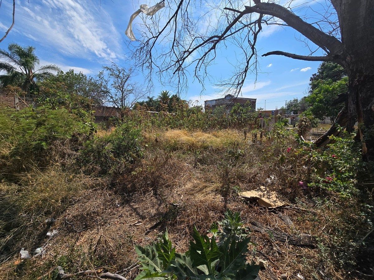 Terreno en Las Juntas, Tlaquepaque, foto 3 de 5