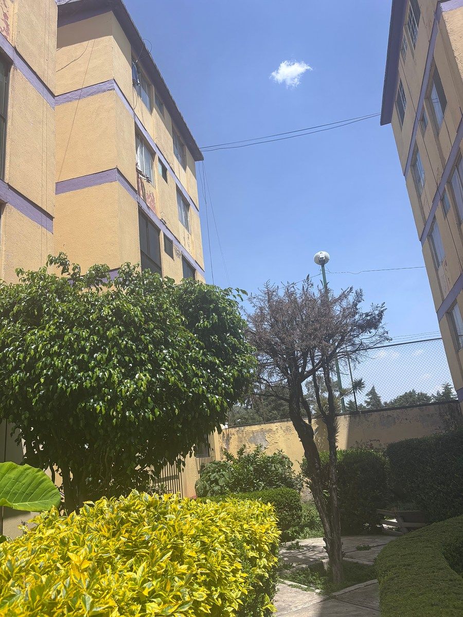Departamento en Tabla Honda, Tlalnepantla de Baz, foto 15 de 16