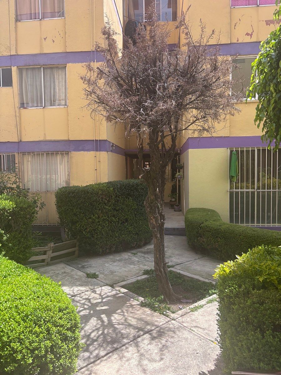 Departamento en Tabla Honda, Tlalnepantla de Baz, foto 16 de 16