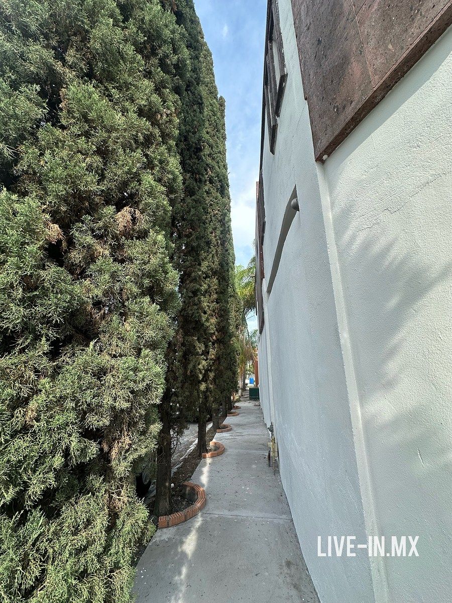 House in Las Lomas, García, photo 7 of 25