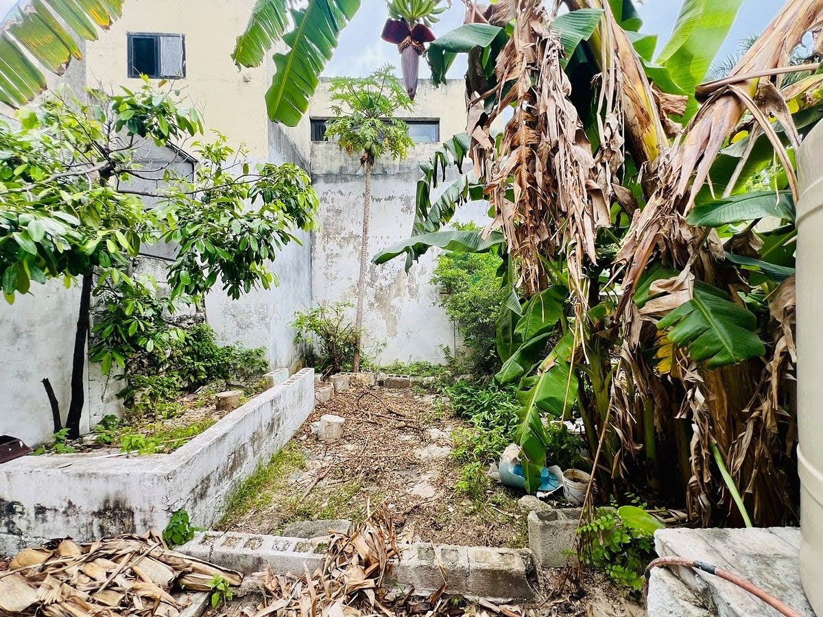 Casa em Dolores Otero, Mérida, foto 16 de 16