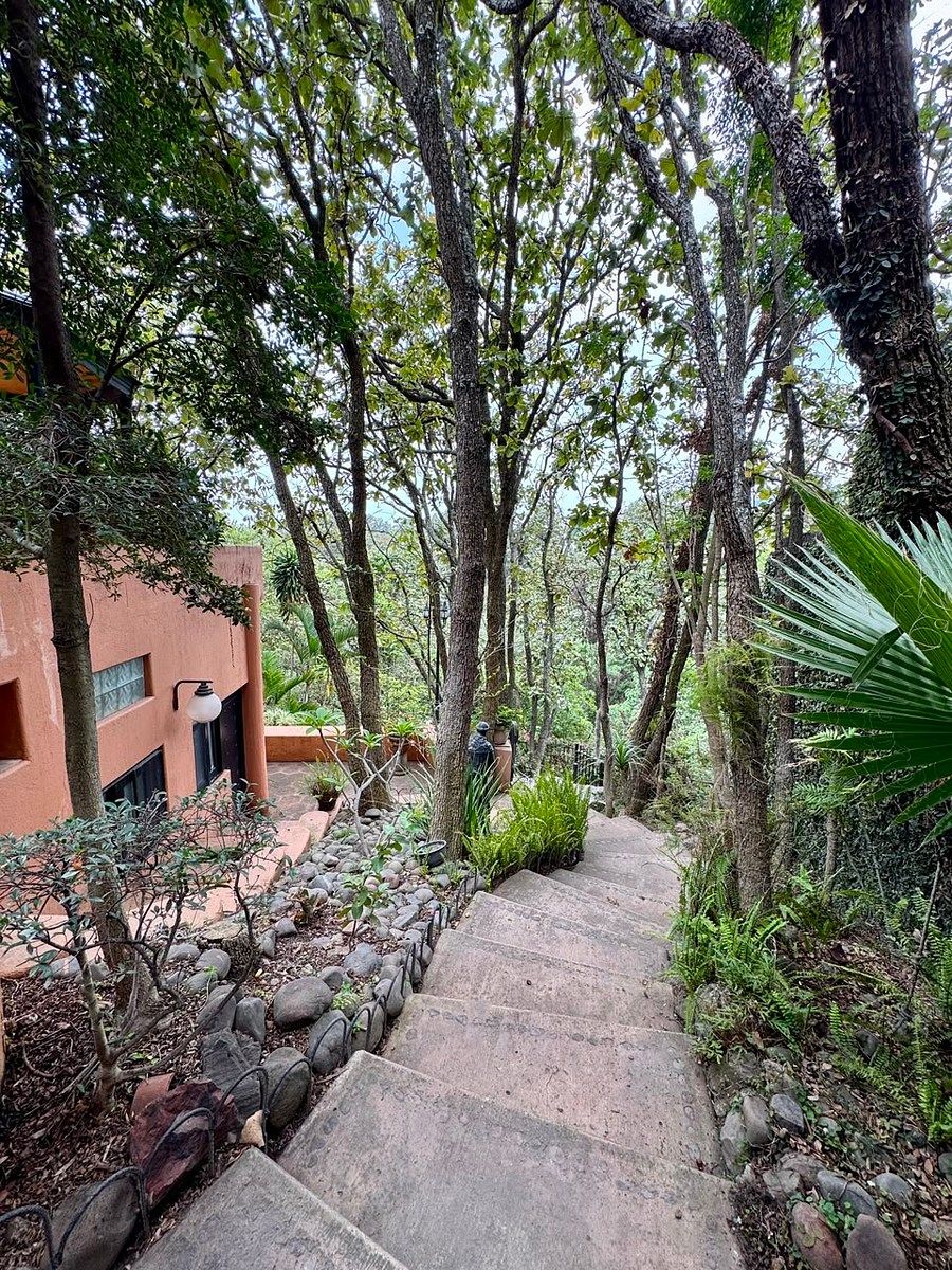 VISTA AL BOSQUE, photo 39 of 50
