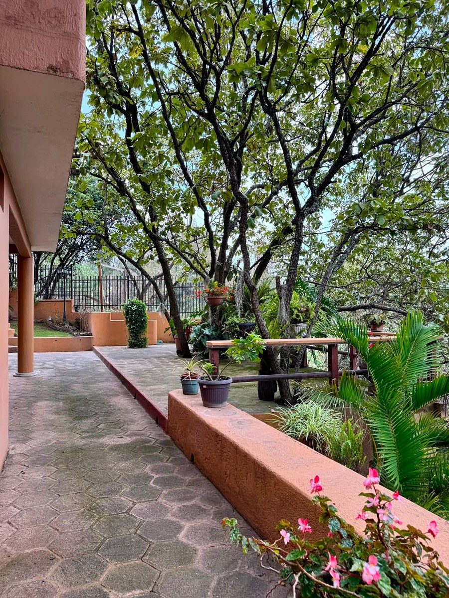 TERRAZA 4, photo 38 of 50