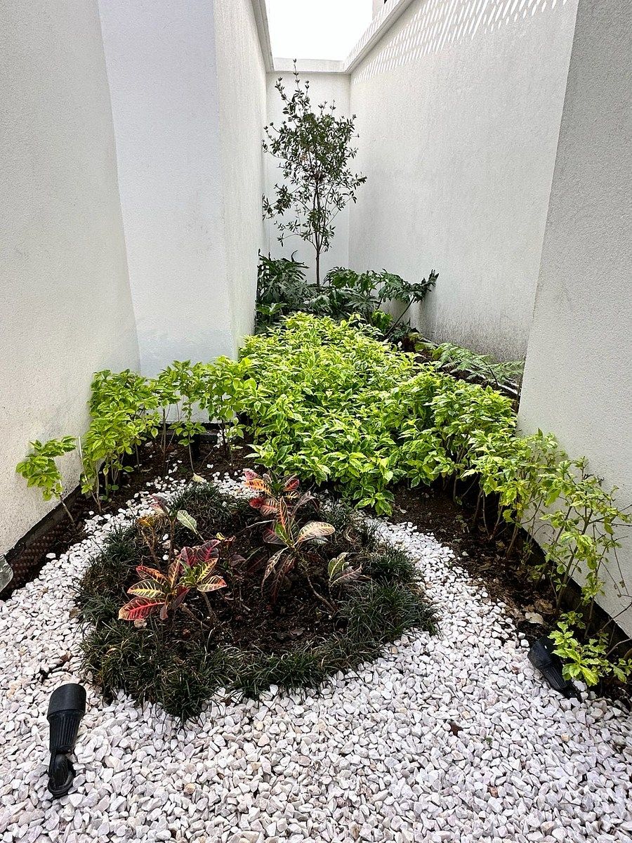¡Departamento venta en Dr. Vértiz 418 Comodidad, ubicación y exclusividad - foto 5