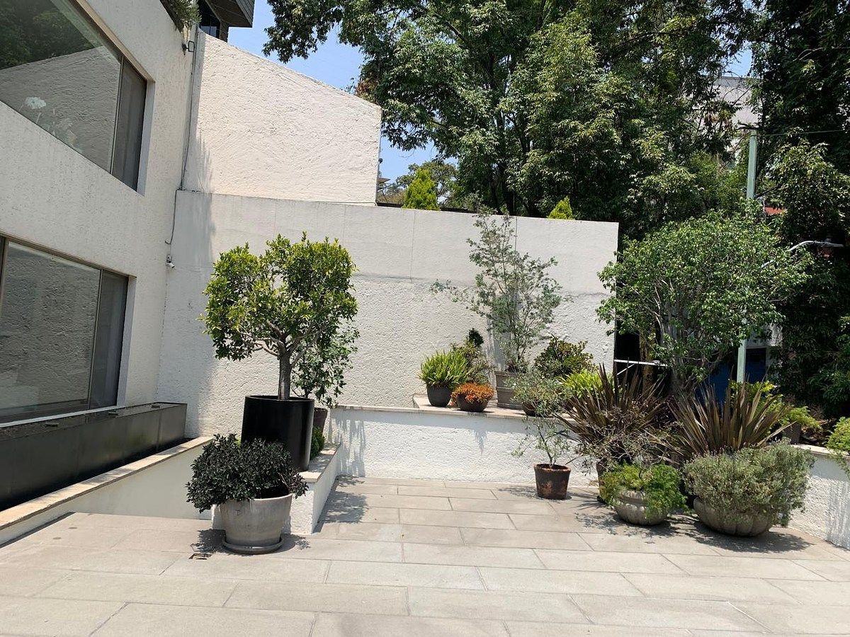 Terraza, foto 4 de 29