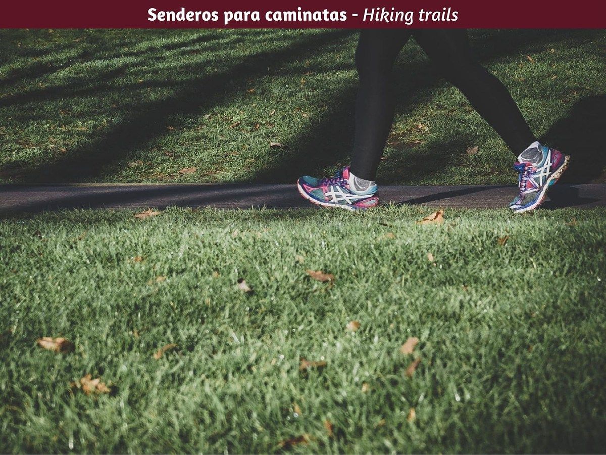Terreno en Canoas, Montemorelos, foto 10 de 13