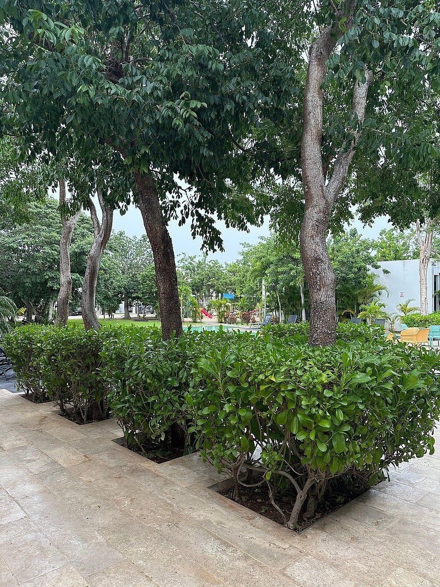 Lote em Cholul, Mérida, foto 3 de 4