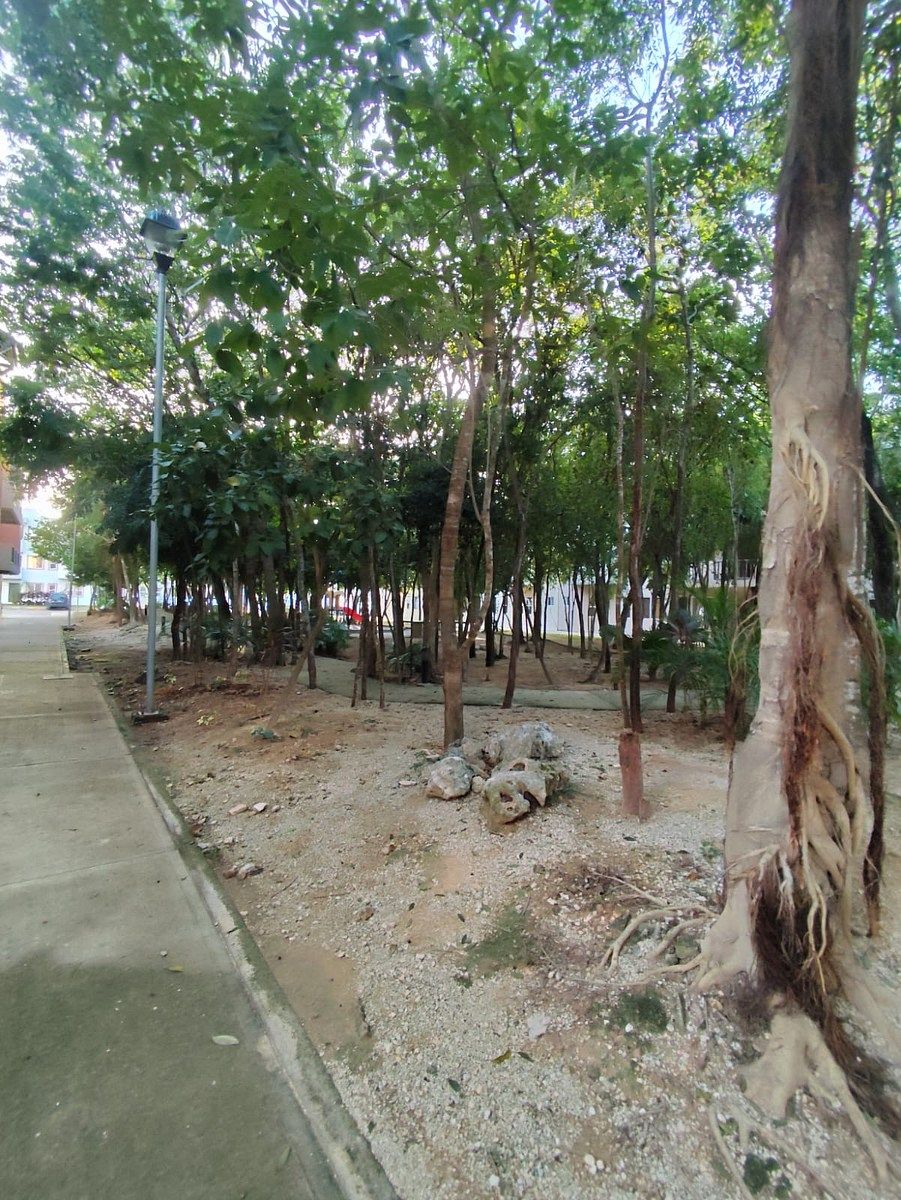 Apartamento em Supermanzana 319, Benito Juárez, foto 12 de 12